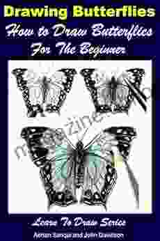 Drawing Butterflies How to Draw Butterflies For the Beginner (Learn to Draw 45)