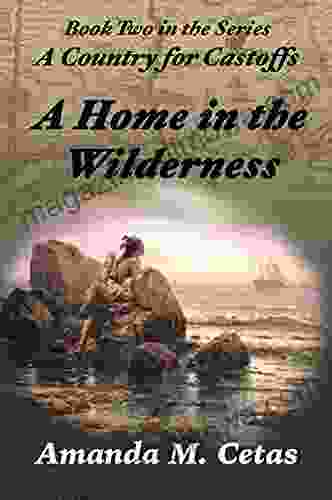 A Home In The Wilderness (A Country For Castoffs 2)