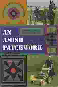 An Amish Patchwork: Indiana S Old Orders In The Modern World (Quarry Books)