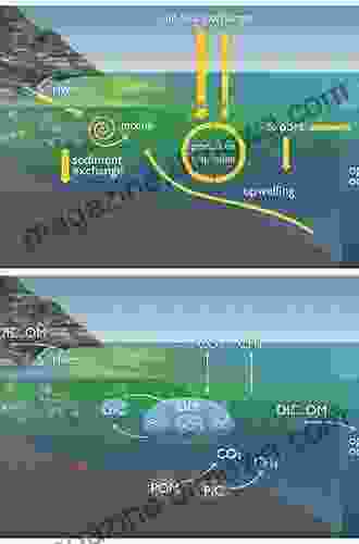 Ocean Dynamics And The Carbon Cycle: Principles And Mechanisms