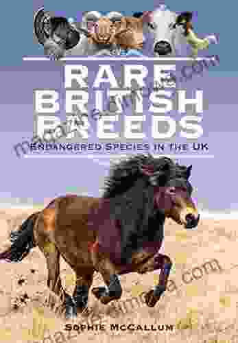 Rare British Breeds: Endangered Species in the UK