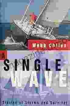 A Single Wave: Stories Of Storms And Survival