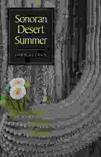 Sonoran Desert Summer John Alcock