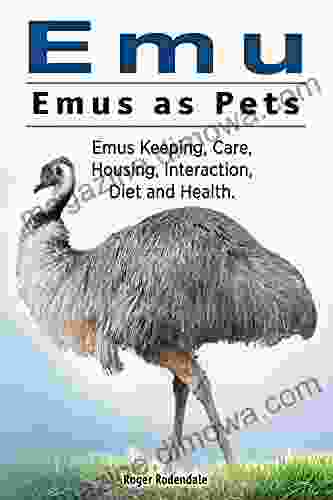 Emu Emus As Pets Emus Keeping Care Housing Interaction Diet And Health