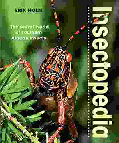 Insectopedia The Secret World Of Southern African Insects