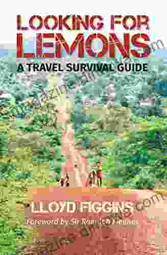 Looking For Lemons: A Travel Survival Guide