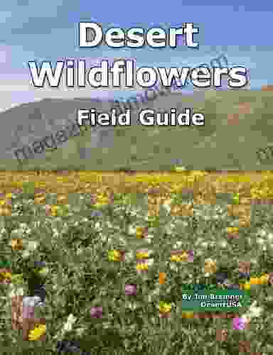 Desert Wildflowers Field Guide Jim Bremner